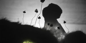 Shadows: Winners & Merit Awards Of AAP Magazine’s Photo Contest
