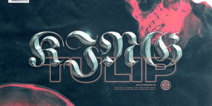 Root of All Evil: The Haunting Graphic Design of Album Covers by IDLEMYND