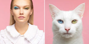 Do You Look Like Your Cat? A Memory Game: Match The Cats with Their Humans!