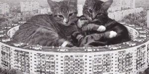 This Instagram Account Combines Brutalist Architecture With Giant Cats
