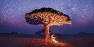 Russian Photographer Captured Wonderful Photos While Visiting The Extraordinary Socotra Island