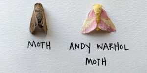 So Fly Taxidermy: Artist Uses Insects To Make Fun And Quirky Cartoons