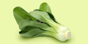 Stunning Photo Manipulations Of Animals Photoshopped Into The Most Random Things By Les Creatonautes