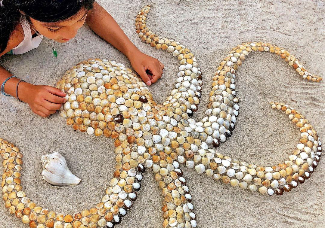 Como hacer agujeros en conchas de mar
