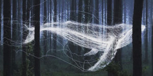 Vietnamese Artist Creates Surreal Illustrations Of Animals and Cute Things in the Forest
