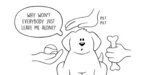 You Think Your Life Is Hard? These Animals Have Real Problems!