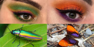 Artist Shows The Beauty Of Insects With Her Matching Eye Makeup Looks