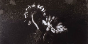 Experimental and Abstract Photography by Angela Allison