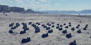 Adorable Sand Cats Become Japanese Beach’s Landmark After Taking Over