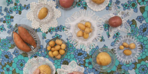 Wait, What? The Spectacular Winning Images of the Potato Photographer of the Year 2021!