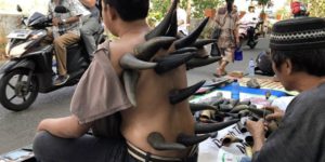 Buffalo Horn Cupping Makes Users Look Like a Super Mario Character
