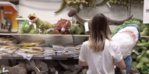 IKEA Plans To Discontinue BLÅHAJ Shark Toy, People Are Sharing Best Moments They Had With It