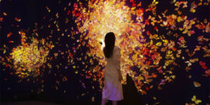 Beautiful Digital Art Paints the teamLab Forest in Fukuoka with The Colors of Autumn