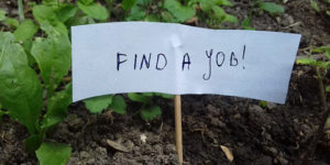 Snails Start Attacking Man’s Garden, Instead of Killing Them, He Puts Up Scary Signs