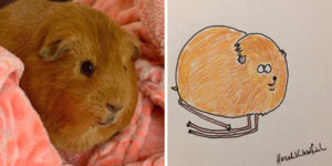 This Artist Drew These 30 Animals So “Badly”, It Might Be A New Style
