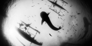 Amazing Black and White Winning Images of The WildArt POTY Monochrome Competition
