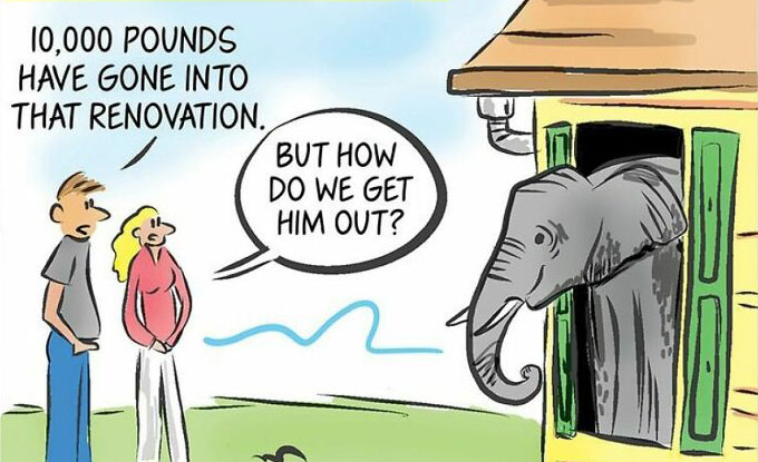 One-Panel Comics Filled With Absurd Situations And Silly Humor By Tom Falco - Vimarsana News
