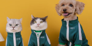 Finally, Squid Game Costumes For Your Pets