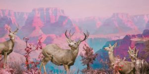Jim Naughten's Digital Paintings: The Artist Creates Worlds that Seem Both Familiar and Fictional