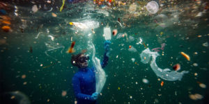 Spectacular Winning Images of The Nature Conservancy Photo Contest 2021