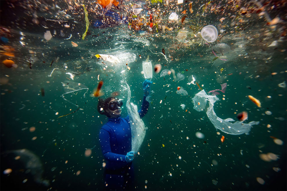 Spectacular Wining Images of The Nature Conservancy Photo Contest 2021 - Vimarsana News