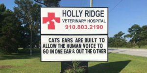 This Vet Clinic Has The Best & Funniest Outdoor Signs