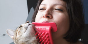This Brush You Hold With Your Mouth Lets You Lick Your Cat