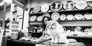 Photographer Decided To Include People In Her Photographic Series “Cats In Venice” And Something Beautiful Happened