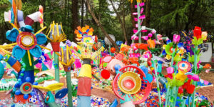 The Future Forest: A Group of Activists Were Made A Forest Out Of 3 Tons Of Plastic In Mexico City