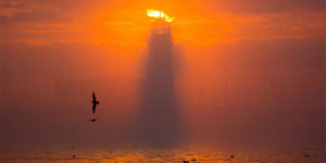 The Winners of The Historic Photographer of The Year Awards 2021 Have Been Announced