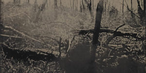 Photographer Sally Mann Wins 2021 Prix Pictet for Series on Wildfires