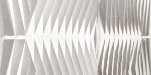 A Photographer’s Backdrops Move to The Foreground