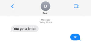 Finally, The 2022 Texts From My Dog Calendar Is Here!