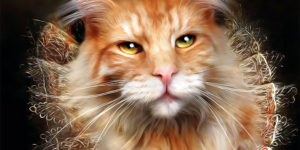 Animal Portraits in The Style of Old Masters by Tein Lucasson