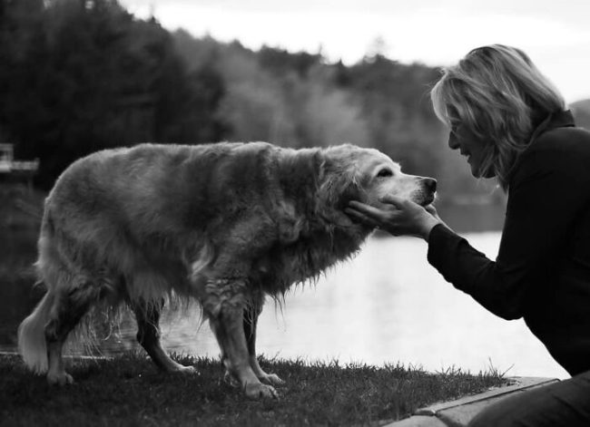 Photographer Takes Pictures Of Animals Near The End Of Life With Their Owners 61af4a6686b50 700