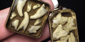 Human Teeth Jewelry by Jana Miller