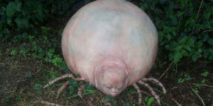 Forget Garden Gnomes, Get a Huge Baby Tick Hybrid Instead!