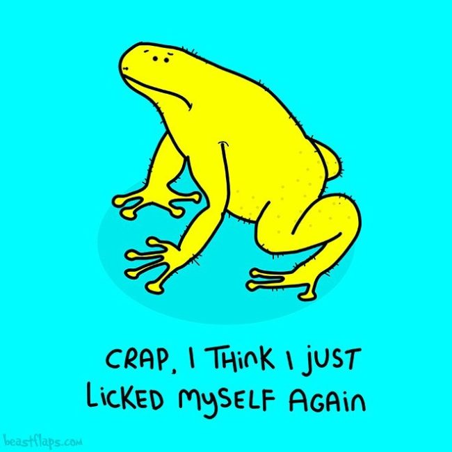 This Artist Draws 100 Grumpy Animals » Design You Trust — Design Daily ...