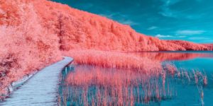 Infraland: A Serie of Surreal Landscapes Capturing in Infrared Light by Paolo Pettigiani