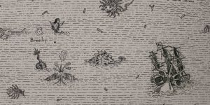 Artist Spent 3 Months Drawing A Mythological Medieval World Map On Door