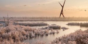 Soorebane (Bog Fox): The First Designer Power Line in Estonia