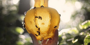 Impressive Honeycomb Sculptires by Tomáš Libertíny