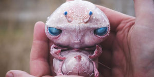 The Most Fantasy Creatures From Another World By Katyushka Dolls