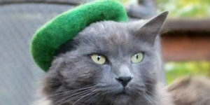 Cute Cat Hats by Amélie Segarceanu