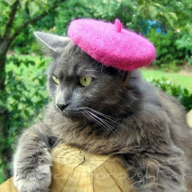 cat-hats10