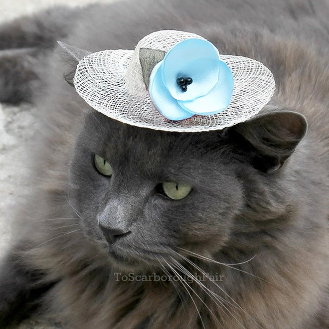 cat-hats14