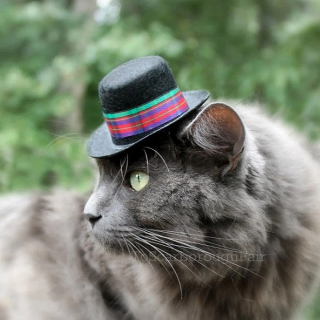 cat-hats16