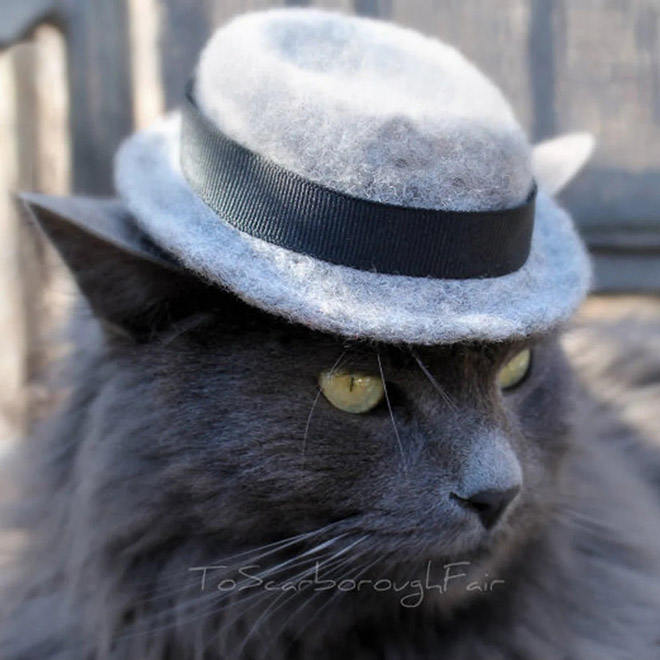cat-hats2