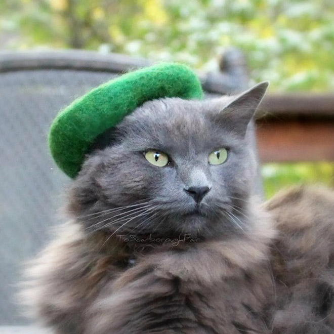 cat-hats4