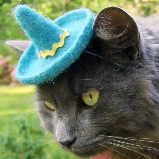 cat-hats9